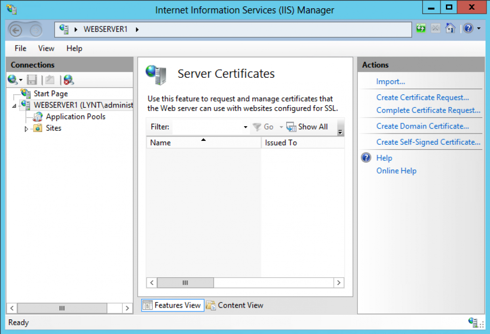 Локальный центр сертификации IIS. Web config IIS. Примеры feature request. IIS Renew Certificate.